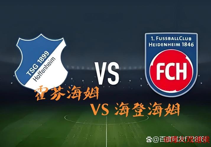 [小炮APP]竞彩资讯：霍芬海姆后防主力因黄牌停赛