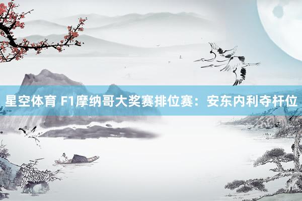 星空体育 F1摩纳哥大奖赛排位赛：安东内利夺杆位