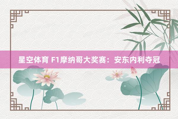 星空体育 F1摩纳哥大奖赛：安东内利夺冠